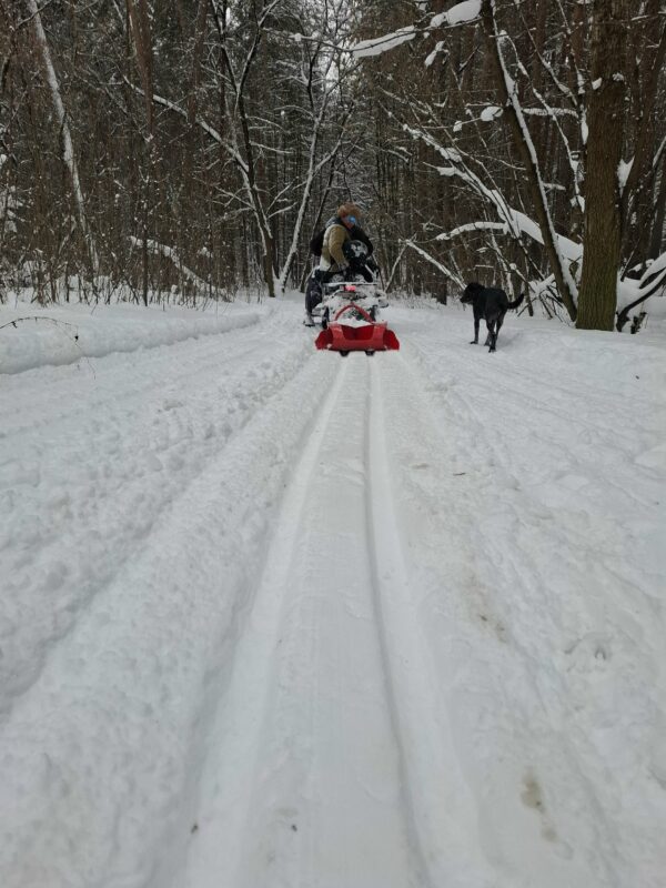 Трасса лыжная Цаговский лес, состояние на 12 января 2026 по отзыву, фото 2. 